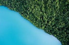 MIDHCO's Annual Report 2021